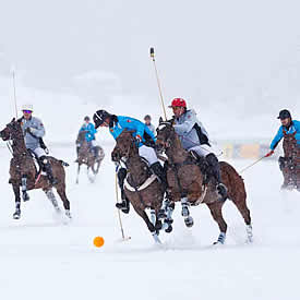 Snow polo at St Moritz.